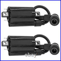 Ignition Coils for John Deere XUV620i XUV625i Gator Utility Vehicle / AM120732 Ignition Coils for John Deere XUV620i XUV625i Gator Utility Vehicle / AM120732